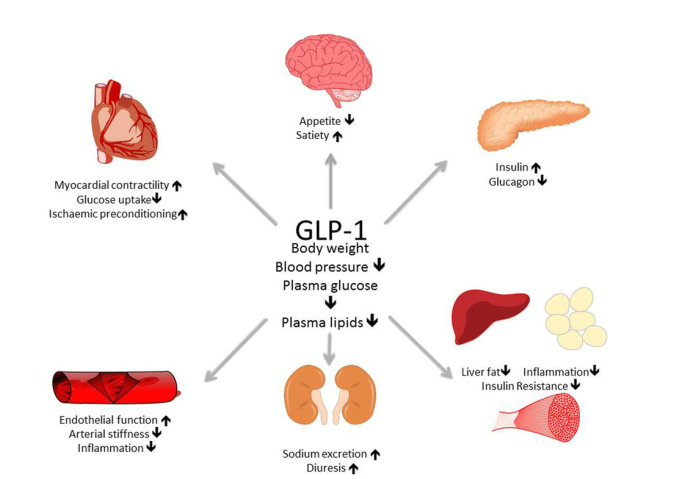 Metabolic Diseases.png